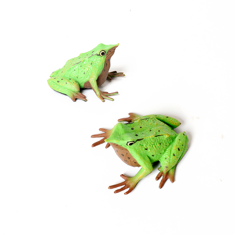 Rainforest Animals Frogs Figur - Kids Toys Review ulasan dan harga