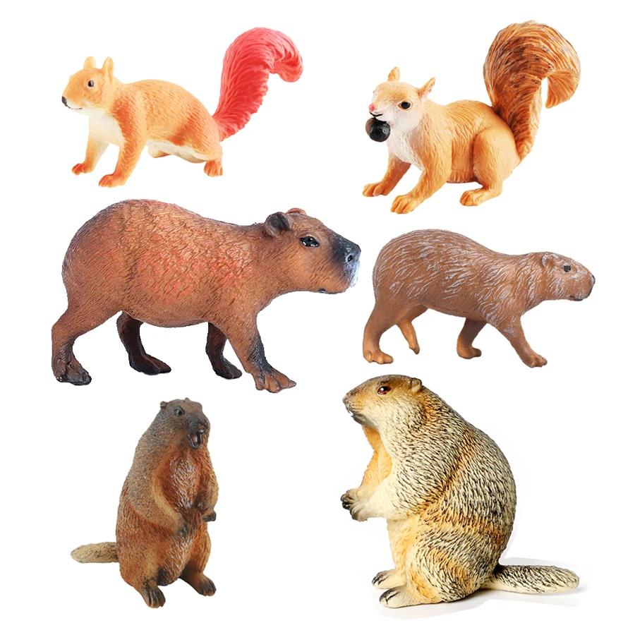 Capibara Capybaras Squirrel Ma - Kids Toys Review ulasan dan harga