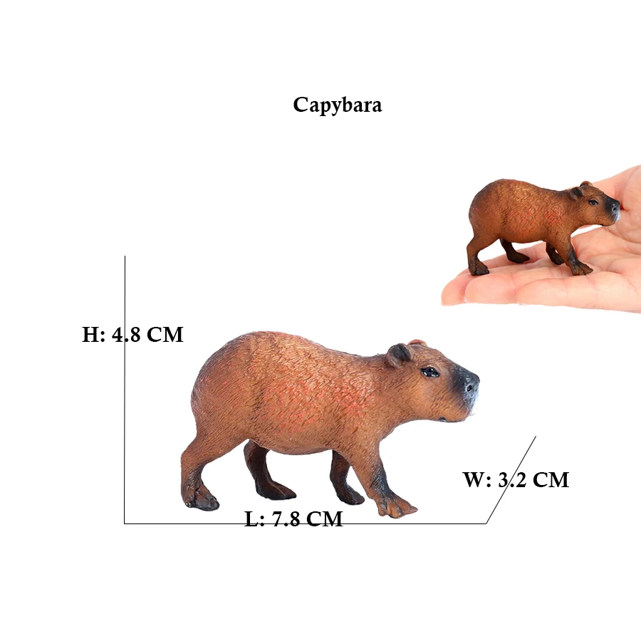Capibara Capybaras Squirrel Ma - Kids Toys Review ulasan dan harga