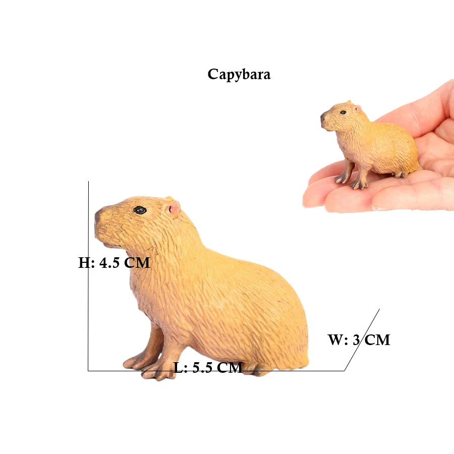 Capibara Capybaras Squirrel Ma - Kids Toys Review ulasan dan harga