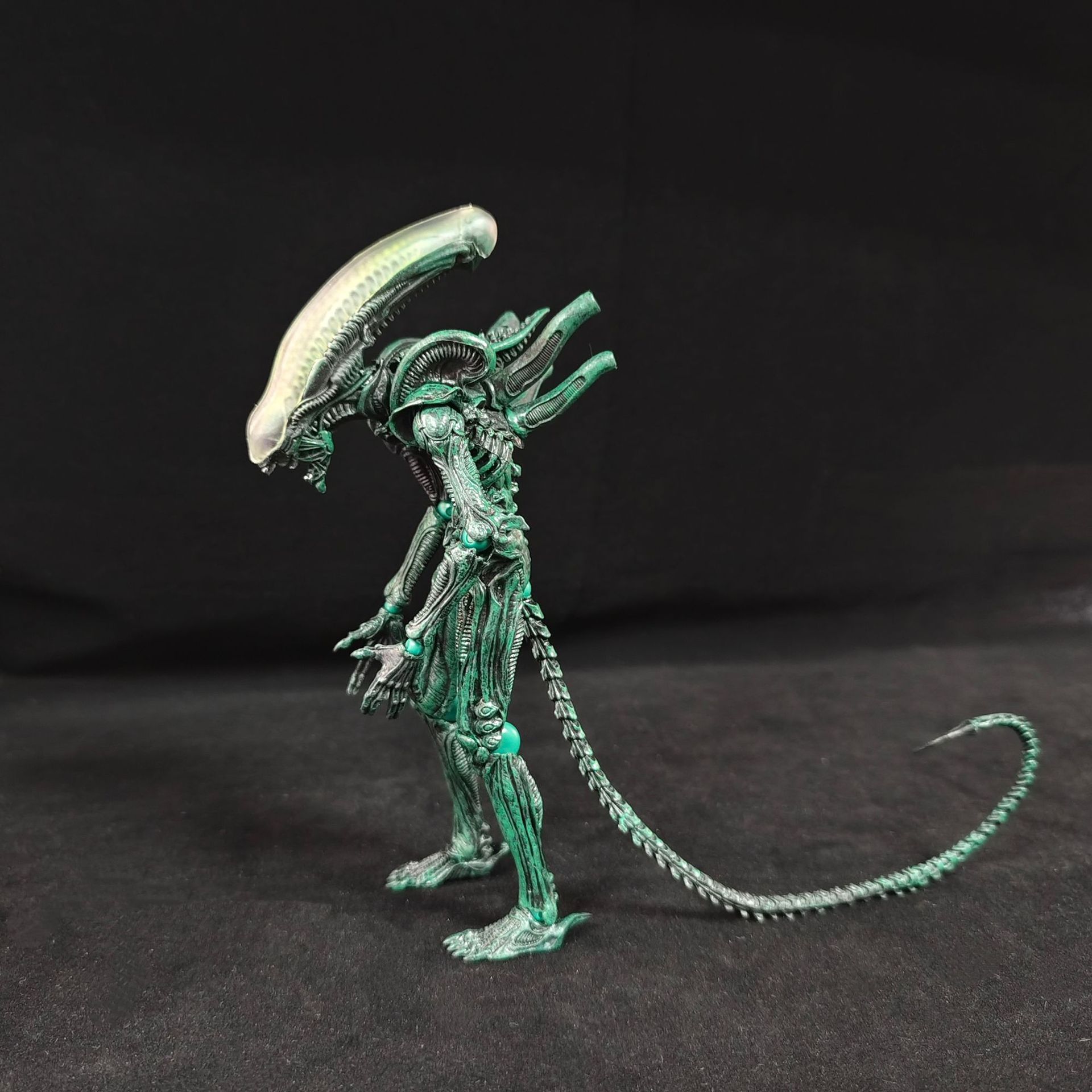 Boxed Anime Alien Action Figur - Xenomorph Kids Toys ulasan dan harga